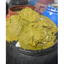 Salamura Mayıs Uc Yaprak 2 Bidon 3+3 kg Salamura Mayıs Uc Yaprak 2 Bidon 3+3 kg