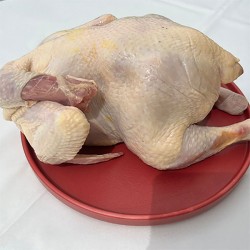 Gezen tavuk eti 4750 gr (parçalanmış)  Gezen tavuk eti 4750 gr (parçalanmış)