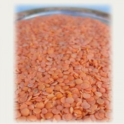 Kırmızı Mercimek 1kg yerli tohum 