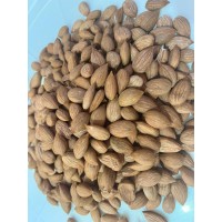 MALATYA GÜN KURUSU KAYISI ÇEKİRDEĞİ 500 GR