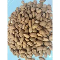 MALATYA GÜN KURUSU KAYISI ÇEKİRDEĞİ 500 GR