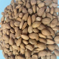 MALATYA GÜN KURUSU KAYISI ÇEKİRDEĞİ 500 GR MALATYA GÜN KURUSU KAYISI ÇEKİRDEĞİ 500 GR