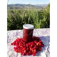 Kızılcık Marmelatı (şekerli) 700 gr