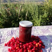 Kızılcık Marmelatı (şekerli) 700 gr Kızılcık Marmelatı (şekerli) 700 gr