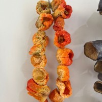 Dolmalık Kuru Biber 45-50 adet  5 Bağ 