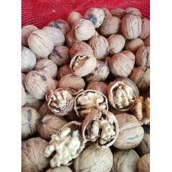 Elazığ Cevizi 500 GR Elazığ Cevizi 500 GR