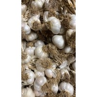 Taşköprü Sarımsağı Orta Boy  500 gr