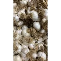 Taşköprü Sarımsağı Orta Boy  500 gr
