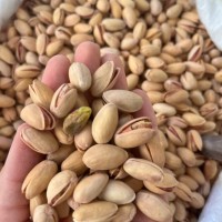 Siirt Fıstığı 250 GR Siirt Fıstığı 250 GR