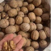 Elazığ Cevizi 500 GR Elazığ Cevizi 500 GR