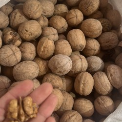 Elazığ Cevizi 500 GR 