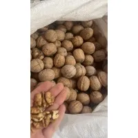 Elazığ Cevizi 500 GR 