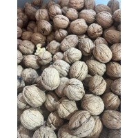 Elazığ Orta Boy Ceviz 500 gr
