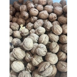 Elazığ Orta Boy Ceviz 500 gr