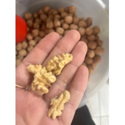 Elazığ Yerli Fidan Cevizi 1 KG