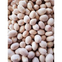 İspir Fasulyesi 1 kg İspir Fasulyesi 1 kg