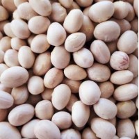 İspir Fasulyesi 1 kg İspir Fasulyesi 1 kg