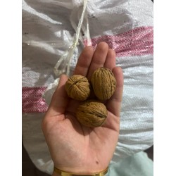 Elazığ Orta Boy Ceviz 500 gr