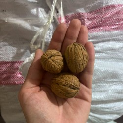 Elazığ Orta Boy Ceviz 500 gr