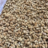 Çekirdeksiz Dut Kurusu 500 GR Çekirdeksiz Dut Kurusu 500 GR