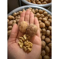Yeni Sezon Elazığ İnce Kabuk Küçük Ceviz 5 kg 