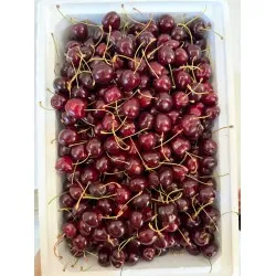 Malatya Dalbastı Kirazı Kargo Dahil 5 kg 