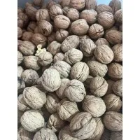 Elazığ Orta Boy Ceviz 500 gr