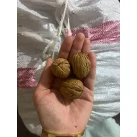 Elazığ Orta Boy Ceviz 500 gr